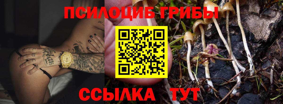 Псилоцибиновые грибы ЛСД  где купить наркотик  Уссурийск  Вход с VPN  Галлюциногенные грибы мухоморы 